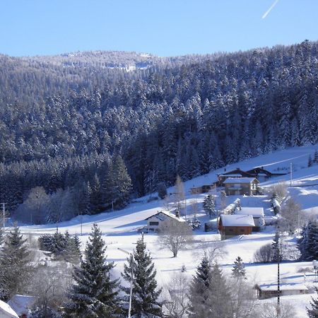 Chalet Renove Proche Du Valtin - Ideal Pour Famille, Randonnees Et Ski, Wifi, Luges Fournies - Fr-1-589-150 Ban-sur-Meurthe-Clefcy Ngoại thất bức ảnh