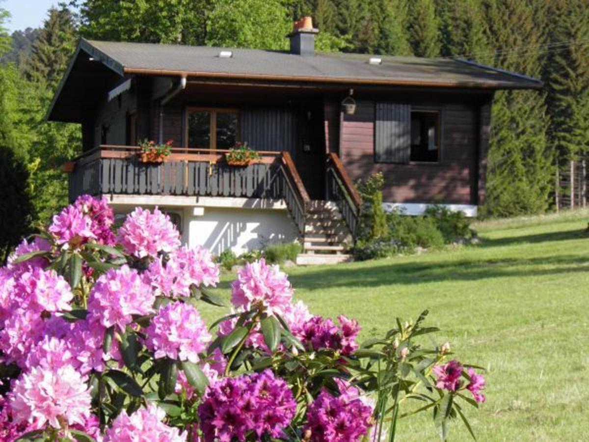 Chalet Renove Proche Du Valtin - Ideal Pour Famille, Randonnees Et Ski, Wifi, Luges Fournies - Fr-1-589-150 Ban-sur-Meurthe-Clefcy Ngoại thất bức ảnh